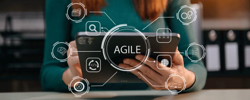 Agile Methodology in Software Development | SAP ERP Testing
